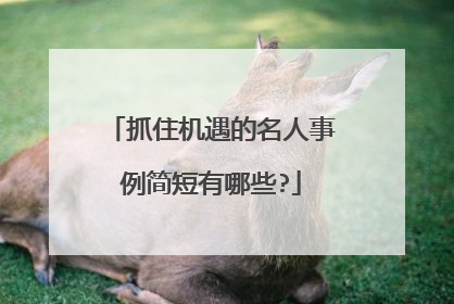 抓住机遇的名人事例简短有哪些?