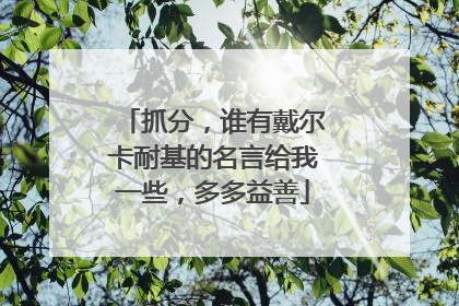 抓分，谁有戴尔卡耐基的名言给我一些，多多益善