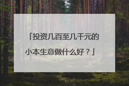 投资几百至几千元的小本生意做什么好?