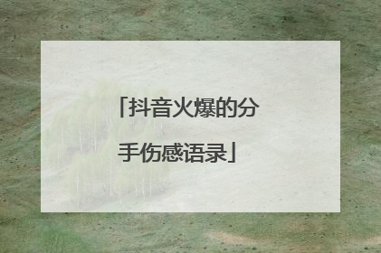 抖音火爆的分手伤感语录