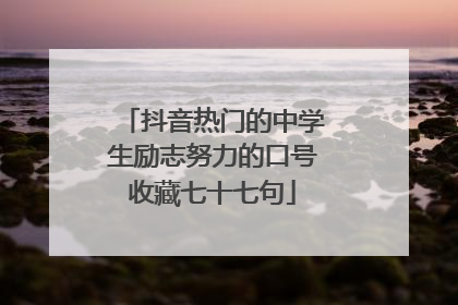 抖音热门的中学生励志努力的口号收藏七十七句