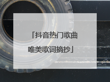 抖音热门歌曲唯美歌词摘抄
