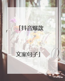抖音爆款文案句子