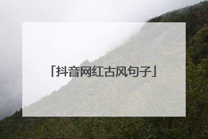 抖音网红古风句子