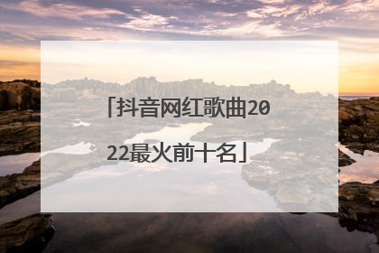 抖音网红歌曲2022最火前十名