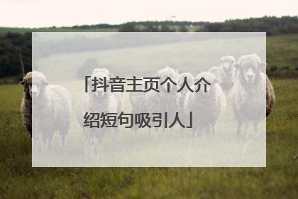 抖音主页个人介绍短句吸引人