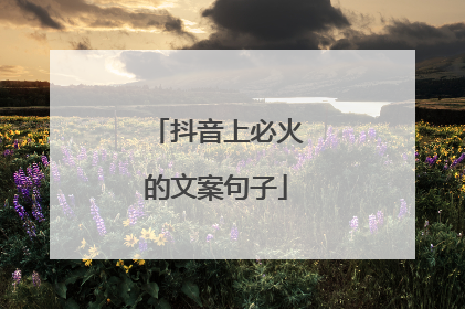 抖音上必火的文案句子