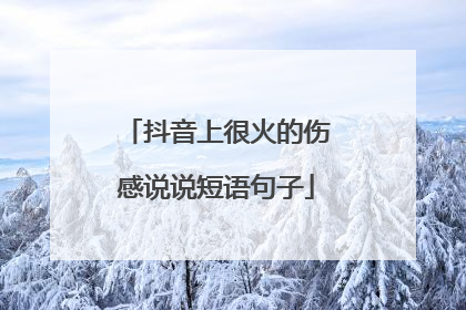 抖音上很火的伤感说说短语句子