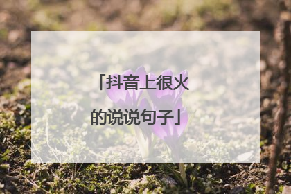 抖音上很火的说说句子