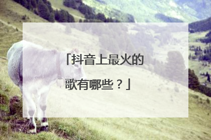 抖音上最火的歌有哪些?