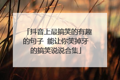 抖音上最搞笑的有趣的句子 能让你笑掉牙的搞笑说说合集