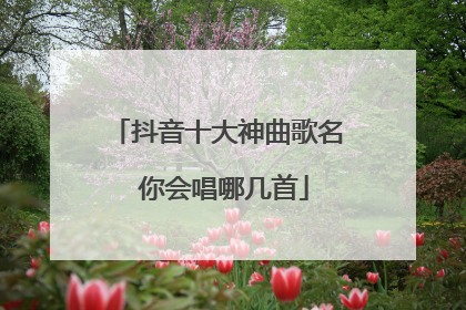 抖音十大神曲歌名 你会唱哪几首