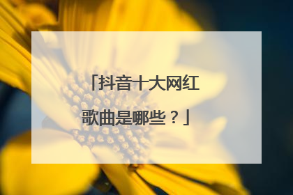 抖音十大网红歌曲是哪些？