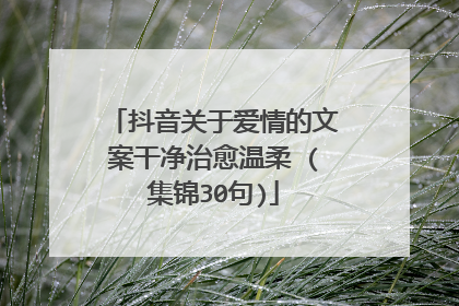 抖音关于爱情的文案干净治愈温柔 (集锦30句)