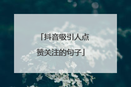 抖音吸引人点赞关注的句子