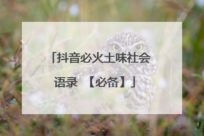 抖音必火土味社会语录 【必备】