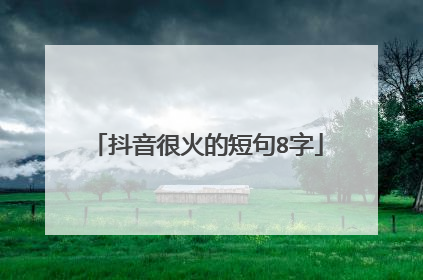 抖音很火的短句8字