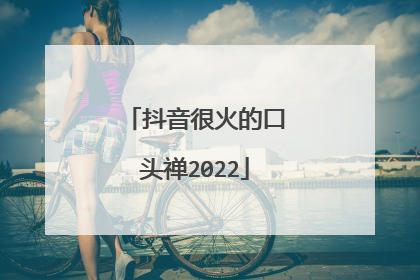 抖音很火的口头禅2022