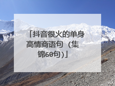 抖音很火的单身高情商语句 (集锦60句)