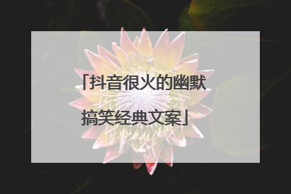 抖音很火的幽默搞笑经典文案