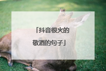 抖音很火的敬酒的句子