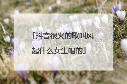 抖音很火的歌叫风起什么女生唱的