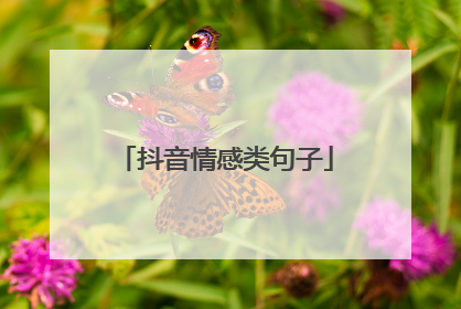 抖音情感类句子