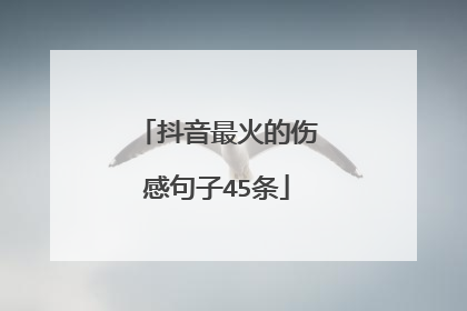 抖音最火的伤感句子45条