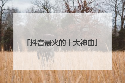 抖音最火的十大神曲