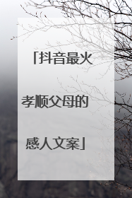 抖音最火孝顺父母的感人文案