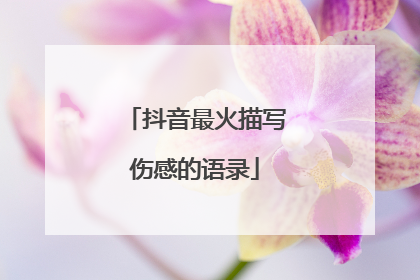 抖音最火描写伤感的语录