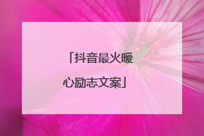 抖音最火暖心励志文案