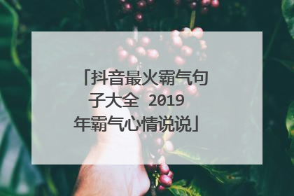 抖音最火霸气句子大全 2019年霸气心情说说