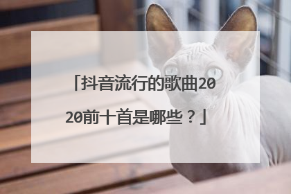 抖音流行的歌曲2020前十首是哪些?