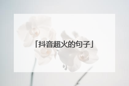 抖音超火的句子