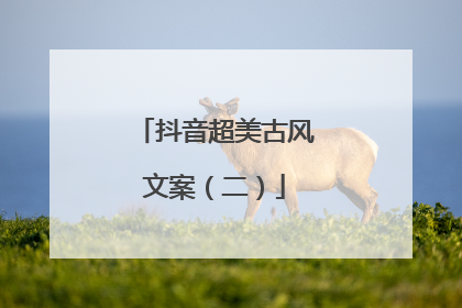 抖音超美古风文案（二）