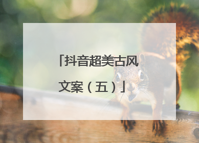 抖音超美古风文案（五）