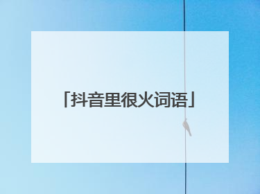 抖音里很火词语