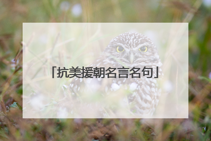 抗美援朝名言名句