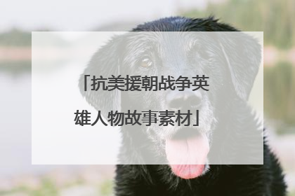 抗美援朝战争英雄人物故事素材