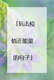 抗击疫情正能量的句子