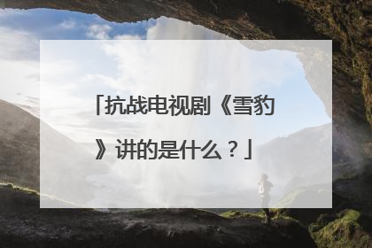 抗战电视剧《雪豹》讲的是什么？