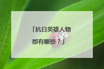 抗日英雄人物都有哪些？