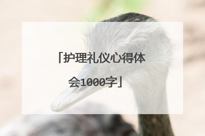 护理礼仪心得体会1000字