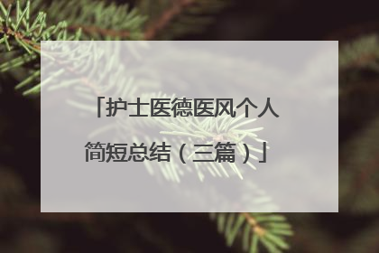 护士医德医风个人简短总结(三篇)