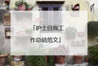 护士自我工作总结范文