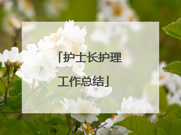 护士长护理工作总结