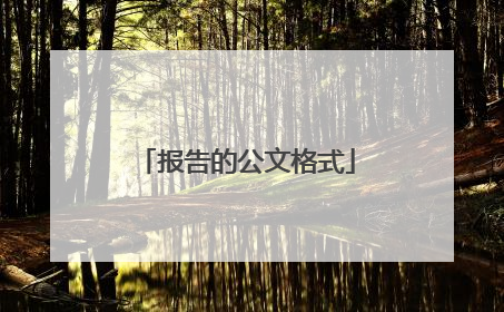 报告的公文格式