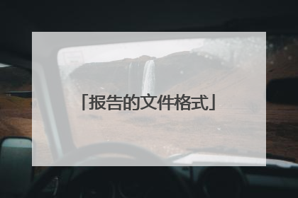 报告的文件格式
