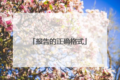 报告的正确格式